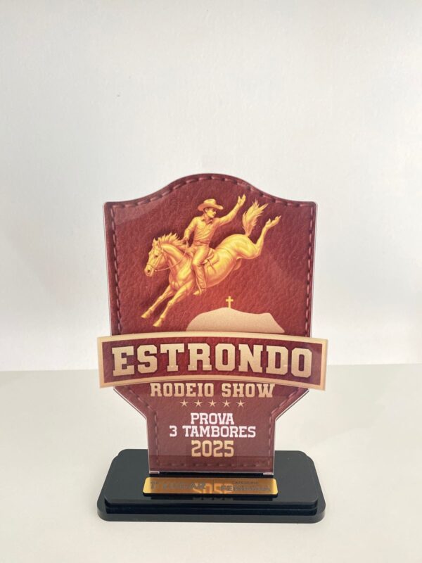 Troféu em acrílico personalizado a laser com impressão UV - Imagem 7